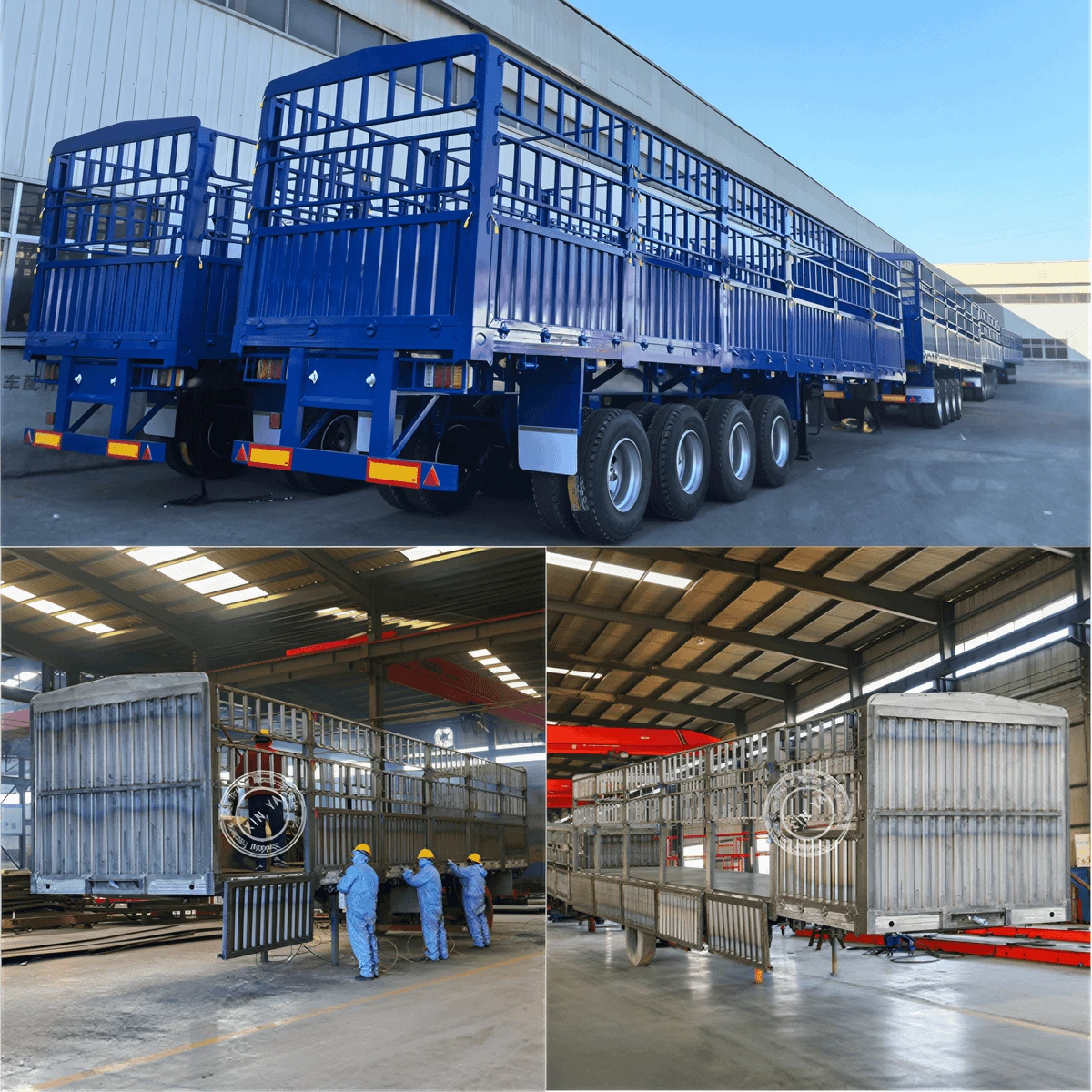 product-1200-1200 product-1200-1200