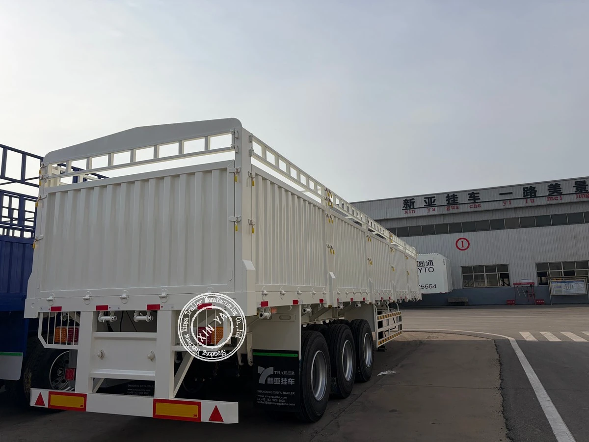 product-1200-900 product-1200-900